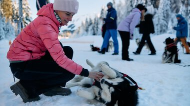 Junge Frau spielt mit einem Huskyschlitten-Husky in verschneitem Winterland, im Hintergrund Menschen beim Winteraktivitäten. | ©  Kleinwalsertal Tourismus eGen • Fotograf: Oliver Farys